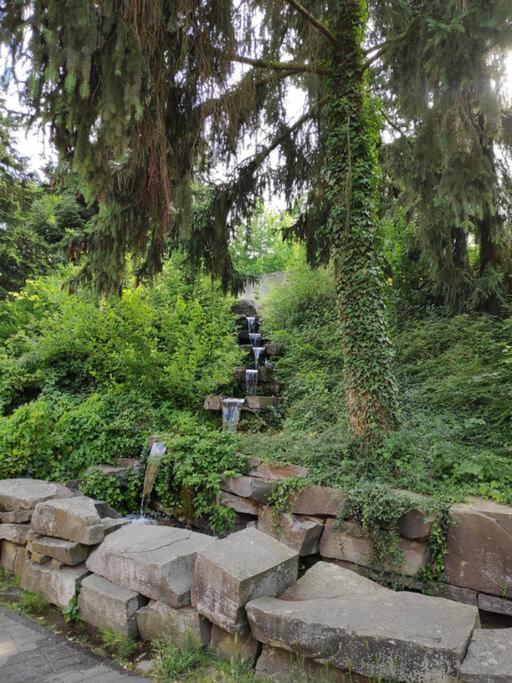 Das Hideaway Zum Seele Baumeln Lassen ! Bad Muenstereifel Luaran gambar